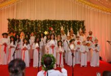 Sweden Embassy marks Lucia festival, celebrating light, culture and friendship