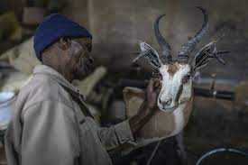 S.African taxidermists fret at UK hunting trophy ban