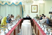 PM directs swift reforms to attract global investors for DISCO privatization