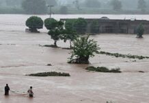 Punjab launches pre-flood inspections ahead of monsoon season