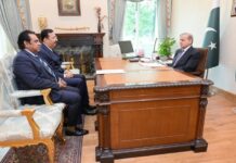 PM Shehbaz Reaffirms Govt’s Commitment to Facilitate Overseas Pakistanis