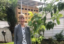 German envoy plants tree, reaffirms support for billion tree project