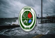 Torrential Rains and Flash Floods Claim 910 Lives Across Pakistan: NDMA