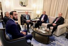 Shehbaz Chairs Flood Relief Review Meeting from Beijing, Orders Swift Action