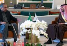 Pakistan, Saudi Arabia to Build Cricket Cooperation as Bridge of Friendship: Mohsin Naqvi