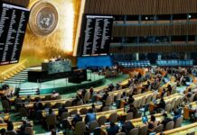 Pakistan Urges Inclusive Political Transition in Syria After SDF-Government Agreement