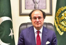 Finance minister launches invest Pak portal to boost investment