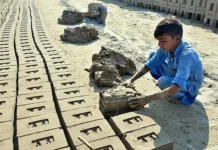 Over 25 million Pakistani children still out of school: CSA report