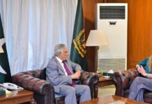 Ishaq Dar, UK HC discuss bilateral ties and regional situation