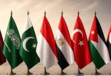 Eight Muslim nations condemn Israeli actions in Gaza, urge global action