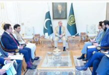 PM Shehbaz directs petroleum minister to ensure relief in fuel prices