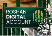 Roshan Digital Accounts inflows reach $13.65bn