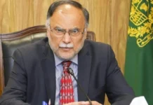 Planning minister proposes 12 to 15 new provinces, calls for national debate