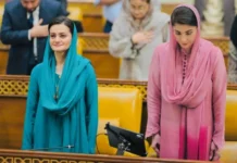 Marriyum Aurangzeb defends Punjab CM over jet use, terrorism remarks