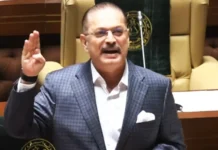 PPP leader attacks federal ministers over new provinces
