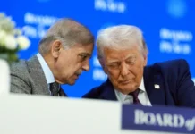 PM Shehbaz expected to meet Trump on UNGA sidelines in New York